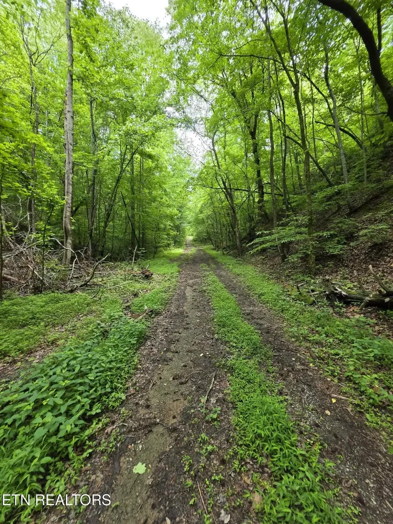 195 Sherwood Lane Harriman TN 37748