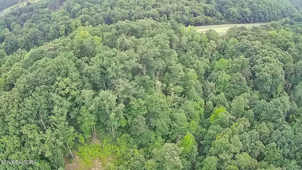 195 Sherwood Lane Harriman TN 37748