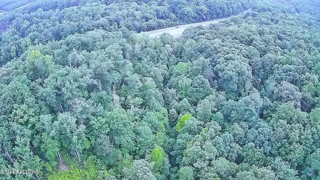 195 Sherwood Lane Harriman TN 37748