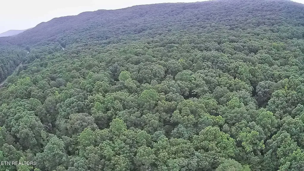 195 Sherwood Lane Harriman TN 37748
