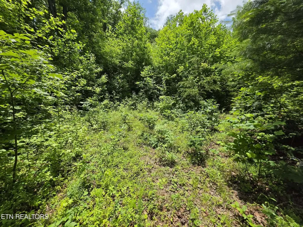 195 Sherwood Lane Harriman TN 37748