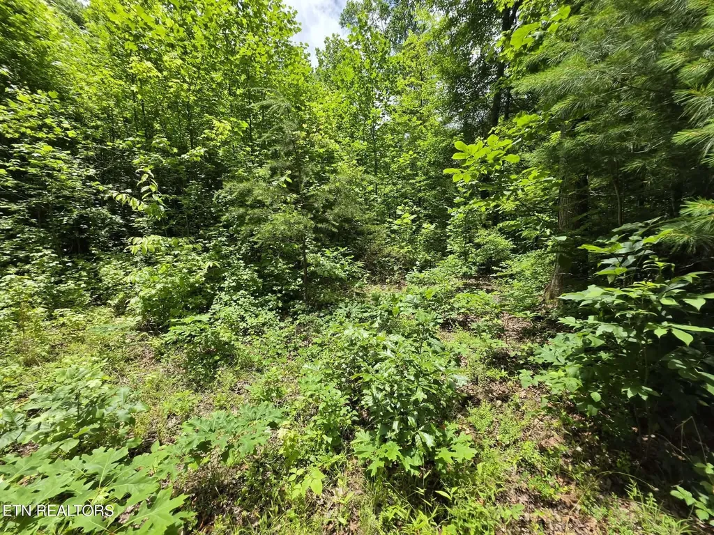 195 Sherwood Lane Harriman TN 37748