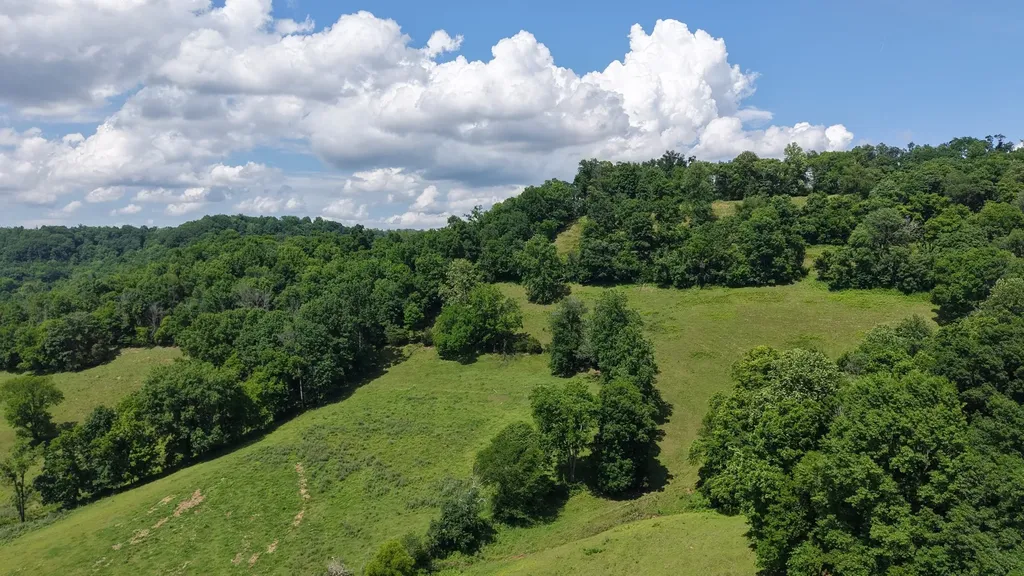 1358 Dry Branch Road Dixon Springs TN 37057