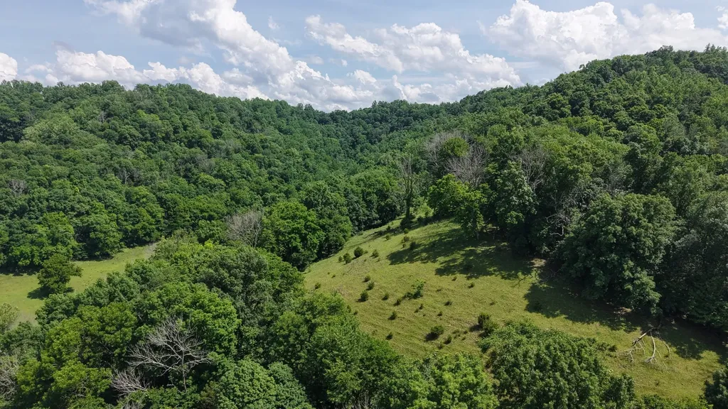 1358 Dry Branch Road Dixon Springs TN 37057