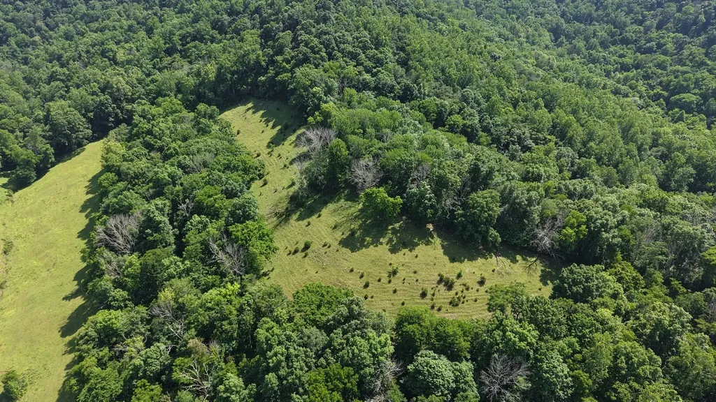 1358 Dry Branch Road Dixon Springs TN 37057