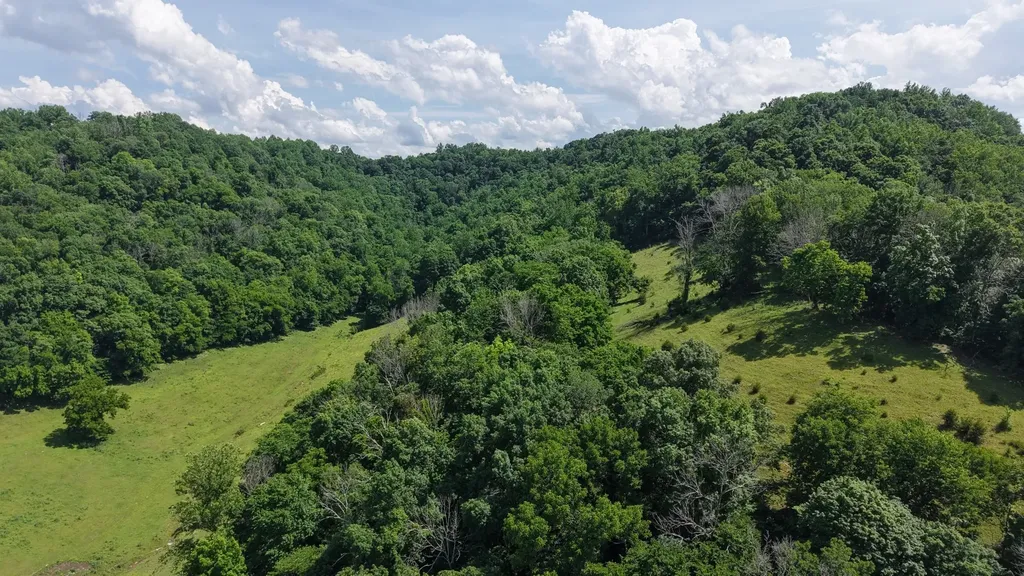 1358 Dry Branch Road Dixon Springs TN 37057