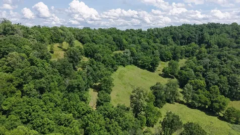 1358 Dry Branch Road Dixon Springs TN 37057