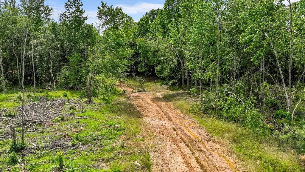 0 Wynn Road Big Sandy TN 38221