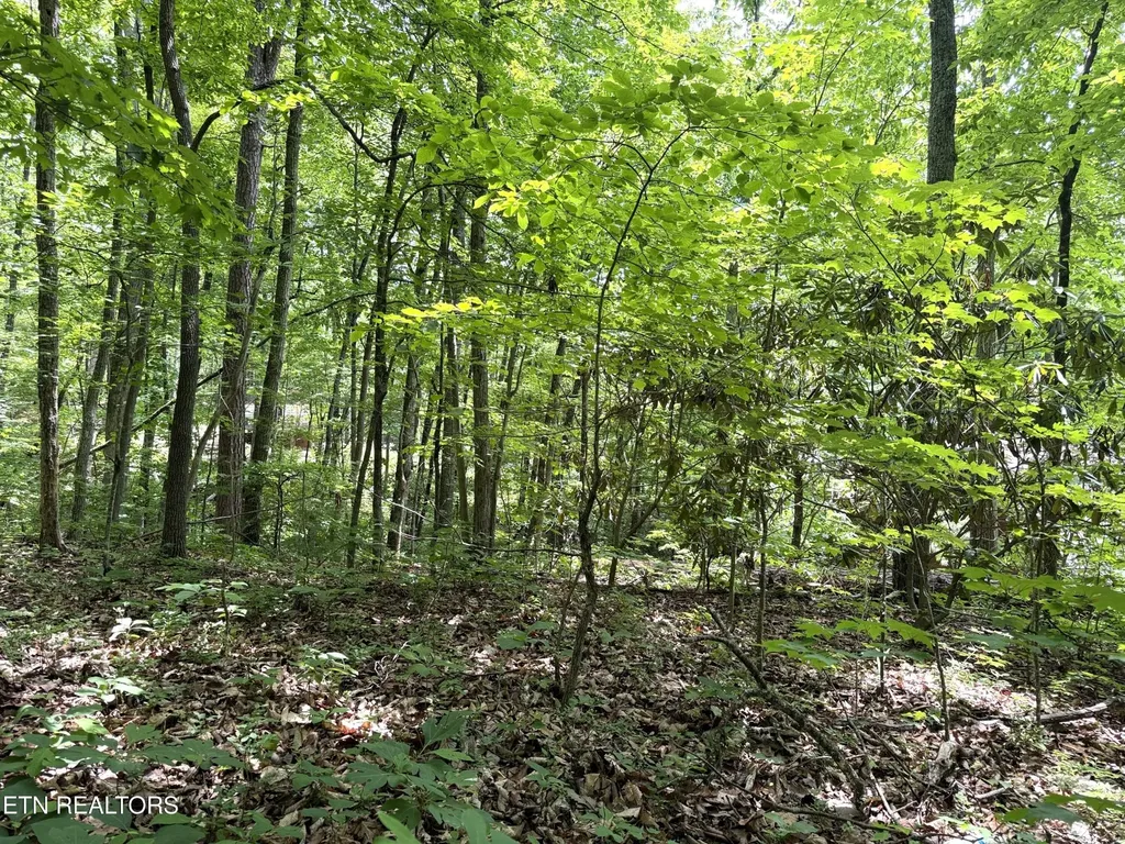 0 Swann Saddle Sevierville TN 37876