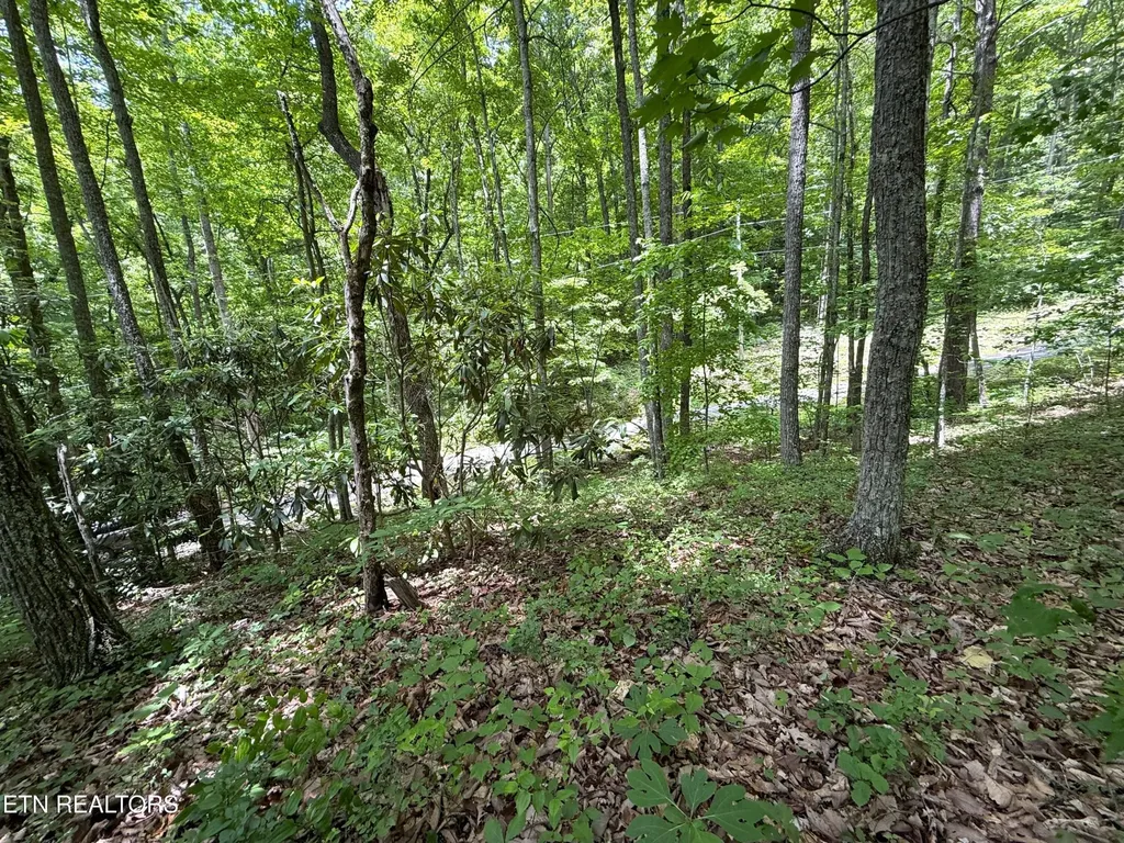0 Swann Saddle Sevierville TN 37876