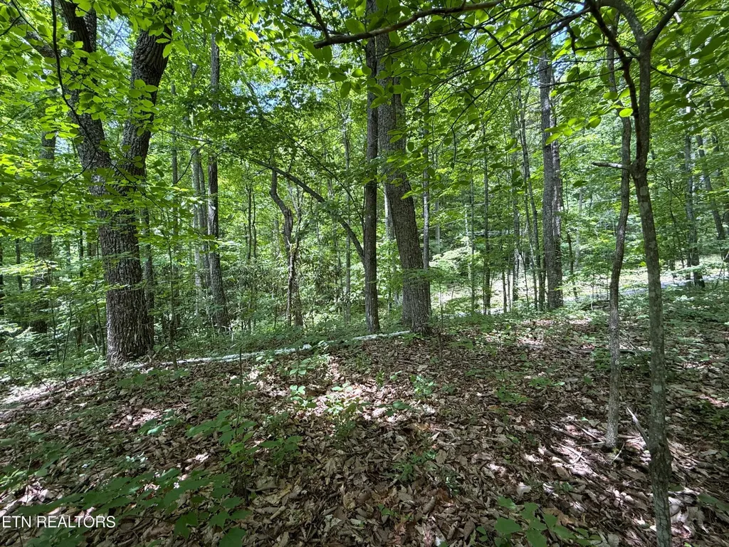 0 Swann Saddle Sevierville TN 37876