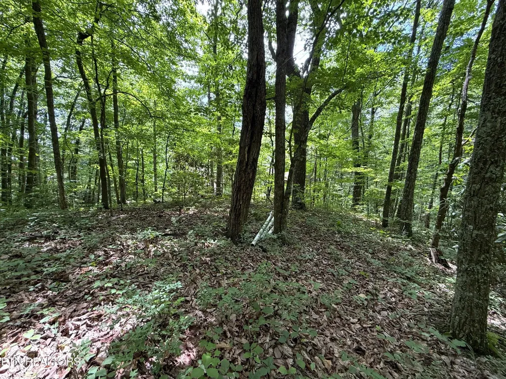 0 Swann Saddle Sevierville TN 37876