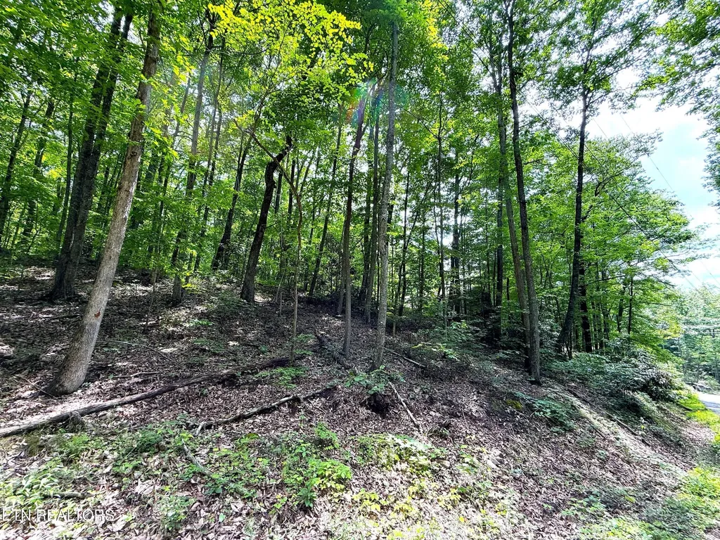 0 Swann Saddle Sevierville TN 37876