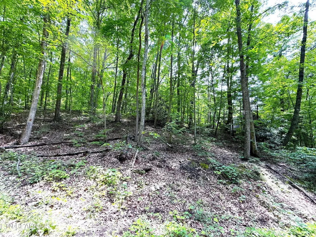 0 Swann Saddle Sevierville TN 37876
