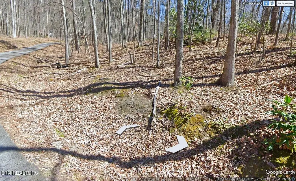 0 Swann Saddle Sevierville TN 37876