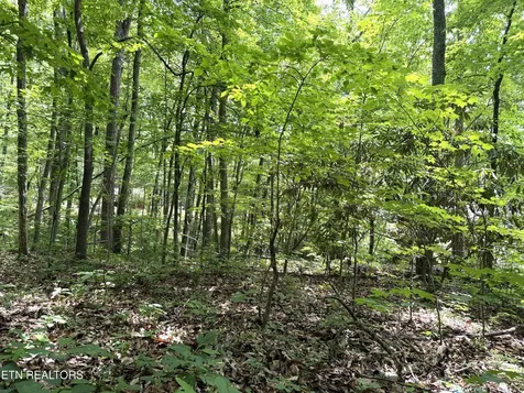 0 Swann Saddle Sevierville TN 37876