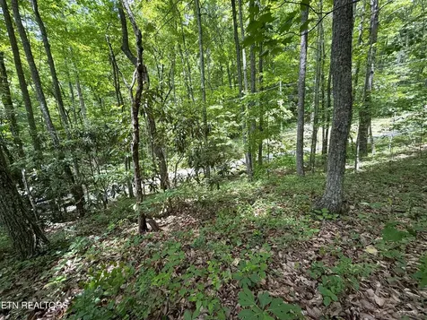 0 Swann Saddle Sevierville TN 37876