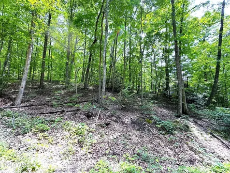 0 Swann Saddle Sevierville TN 37876