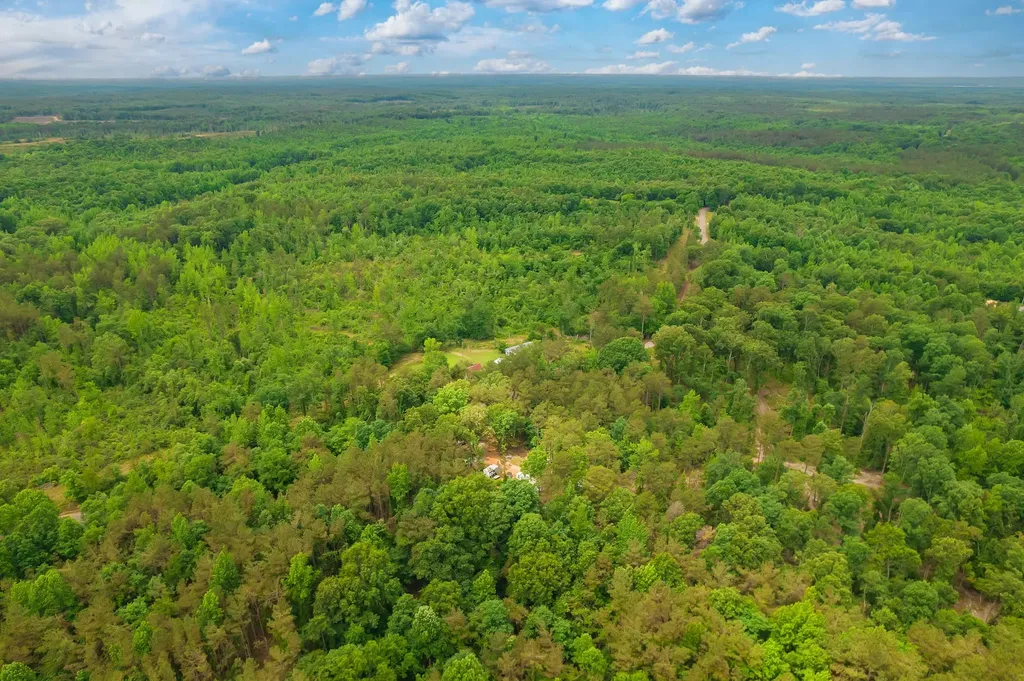 584 Talley Road Hornsby TN 38044