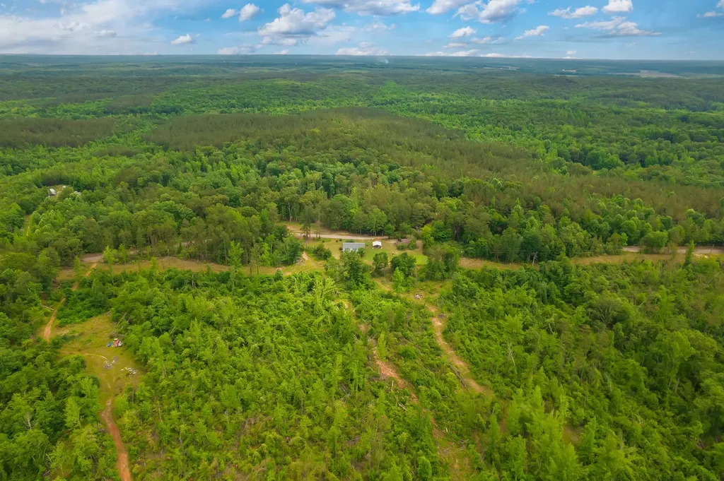 584 Talley Road Hornsby TN 38044