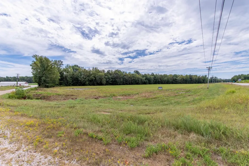 0 Highway 641 Holladay TN 38341