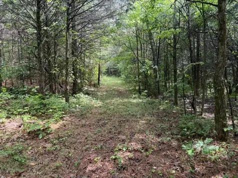 0 Smoot Road Morrison TN 37357