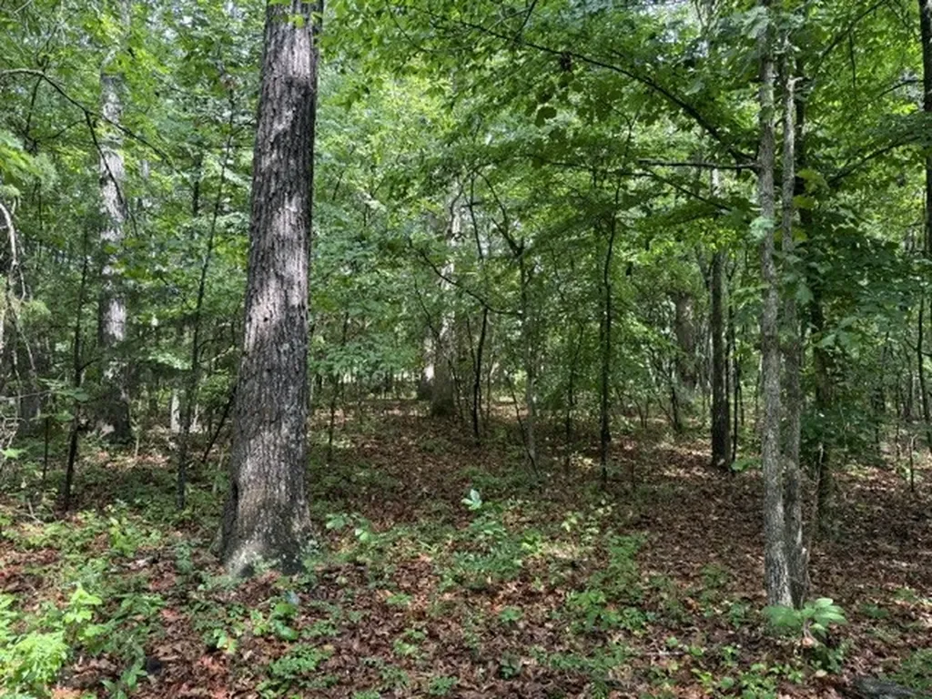 0 Smoot Road Morrison TN 37357