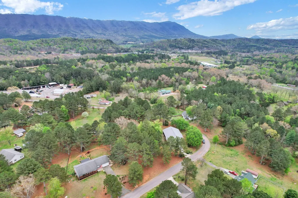 116 Burgess Drive Benton TN 37307
