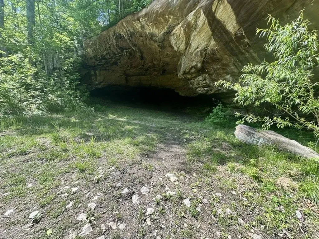 0 Bear Knob Lane Crawford TN 38554