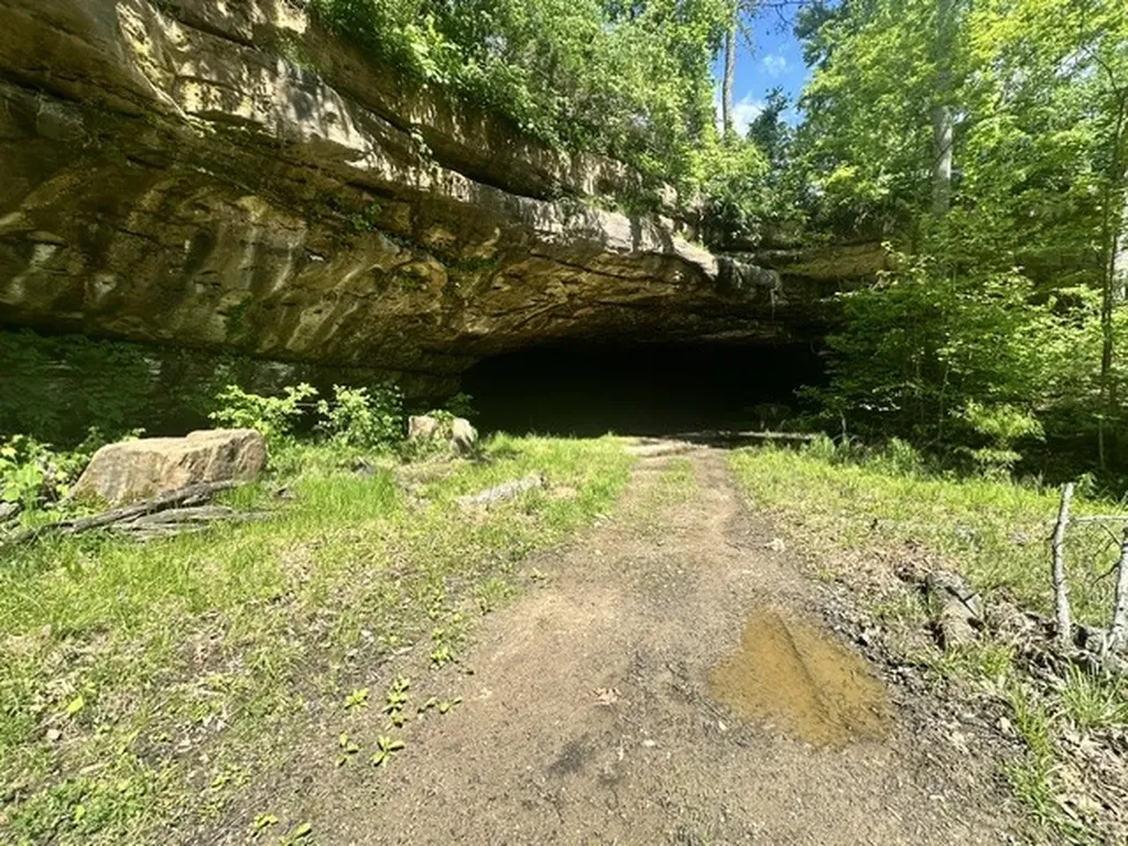 0 Bear Knob Lane Crawford TN 38554