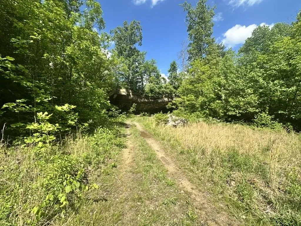0 Bear Knob Lane Crawford TN 38554