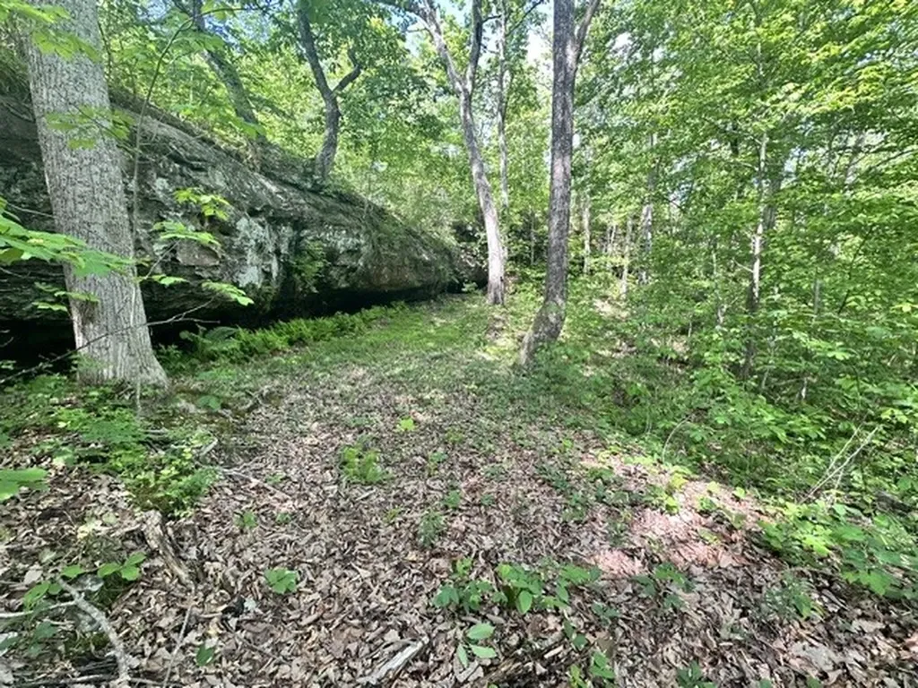 0 Bear Knob Lane Crawford TN 38554
