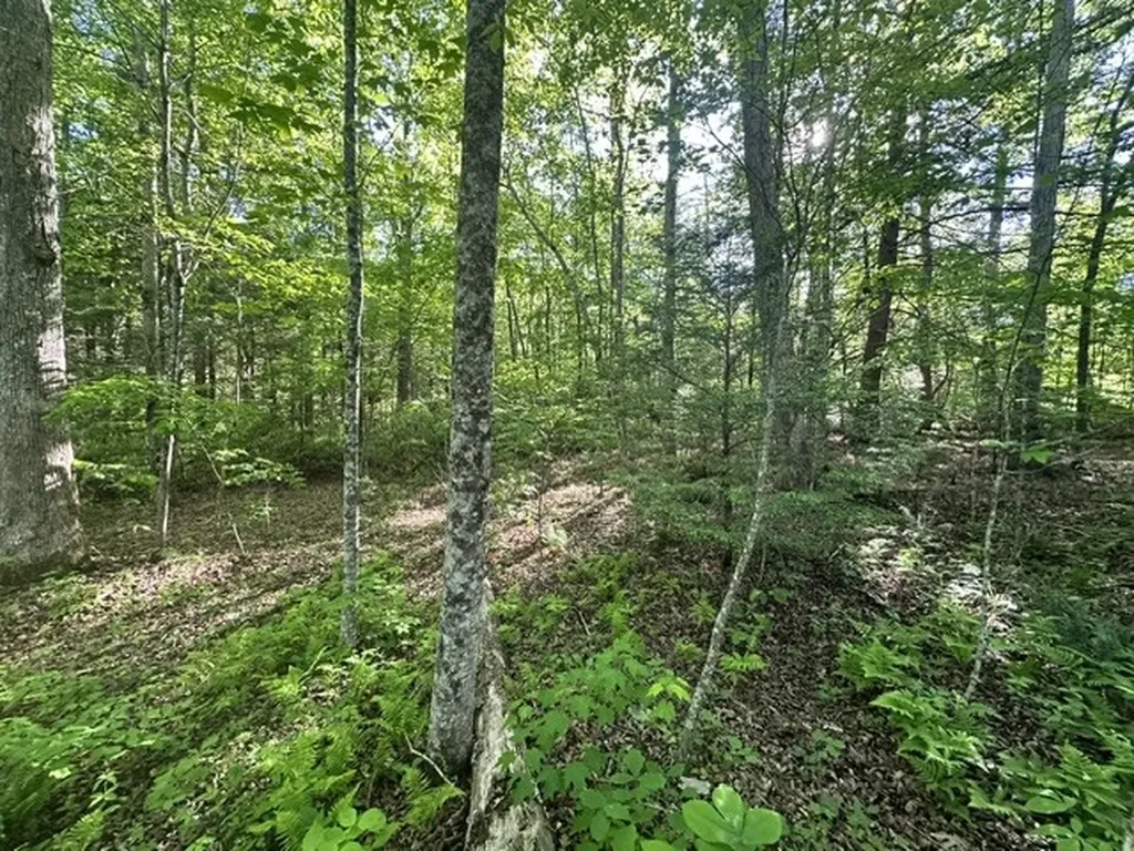 0 Bear Knob Lane Crawford TN 38554