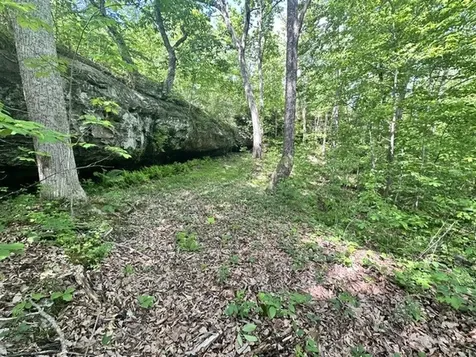 0 Bear Knob Lane Crawford TN 38554