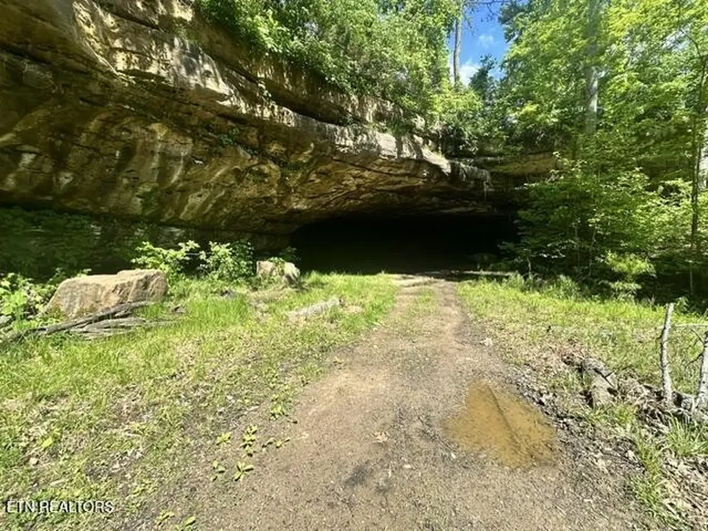 0 Bear Knob Lane Crawford TN 38554
