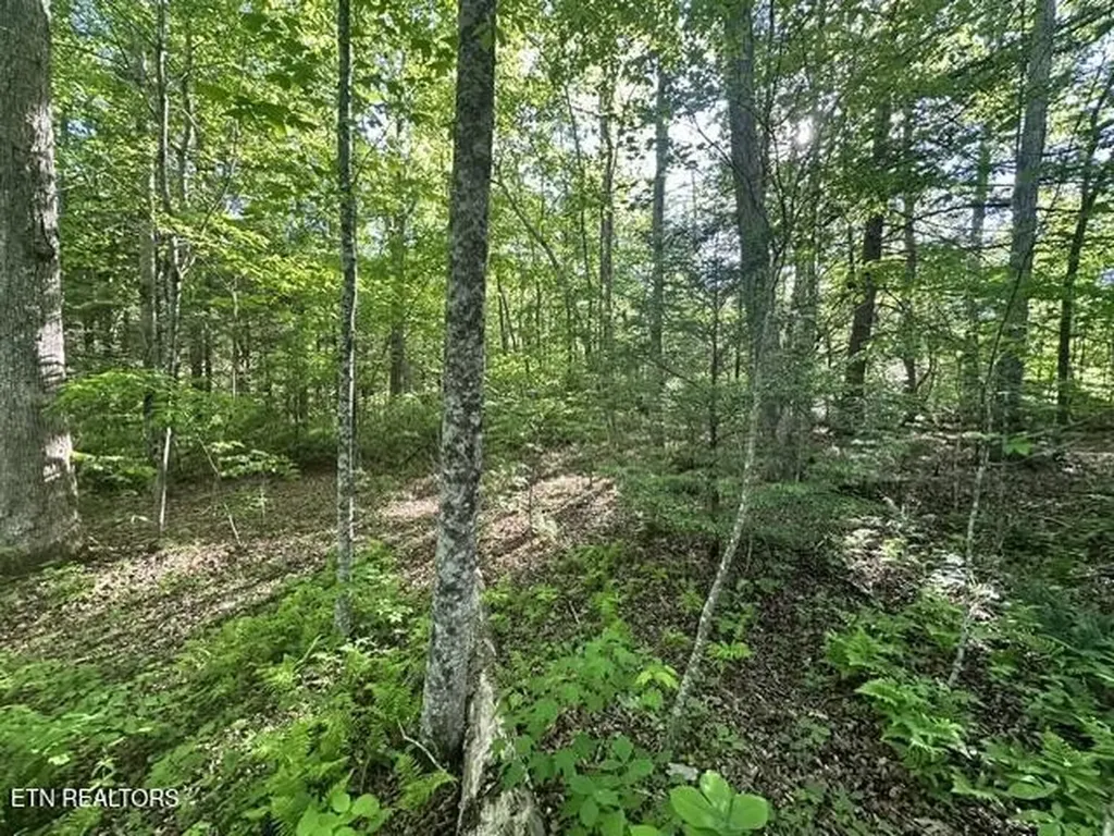0 Bear Knob Lane Crawford TN 38554