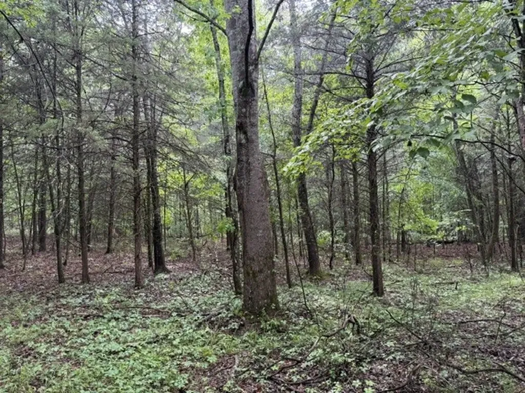 0 Smoot Road Morrison TN 37357