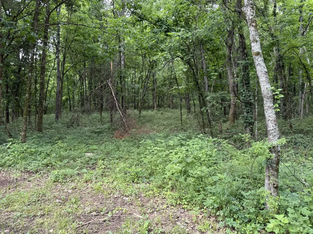 0 Crenshaw Road Hartsville TN 37074