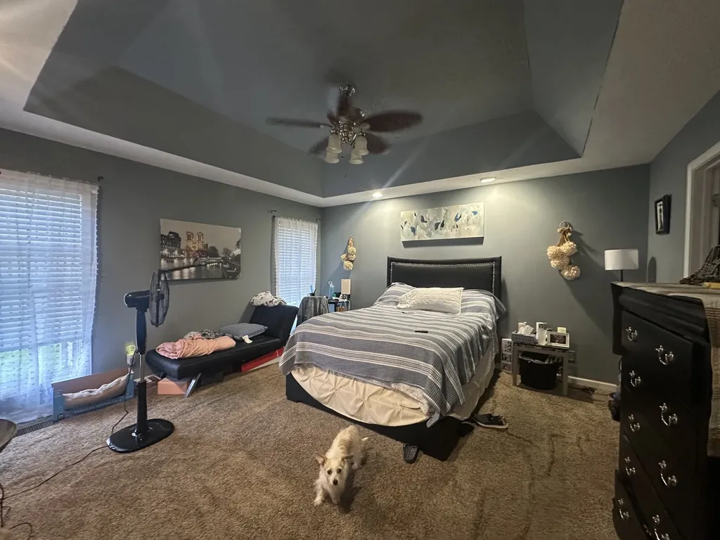 153 Foxrun Springfield TN 37172