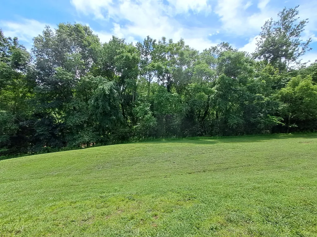 5525 Wiley Hollow Road Lynnville TN 38472