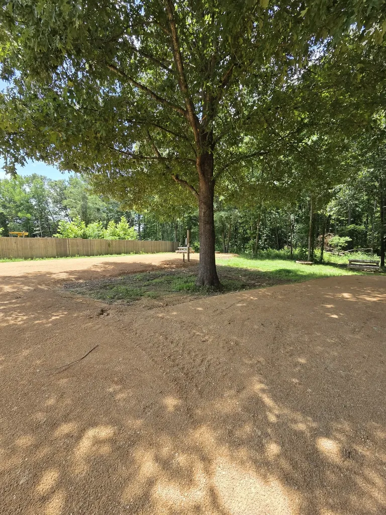 264 Duck Blind Road Clifton TN 38425