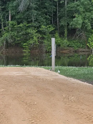 264 Duck Blind Road Clifton TN 38425