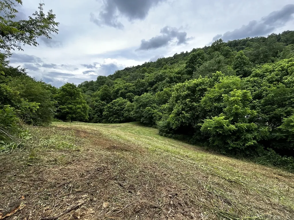 98 Hackett Valley Road Hickman TN 38567
