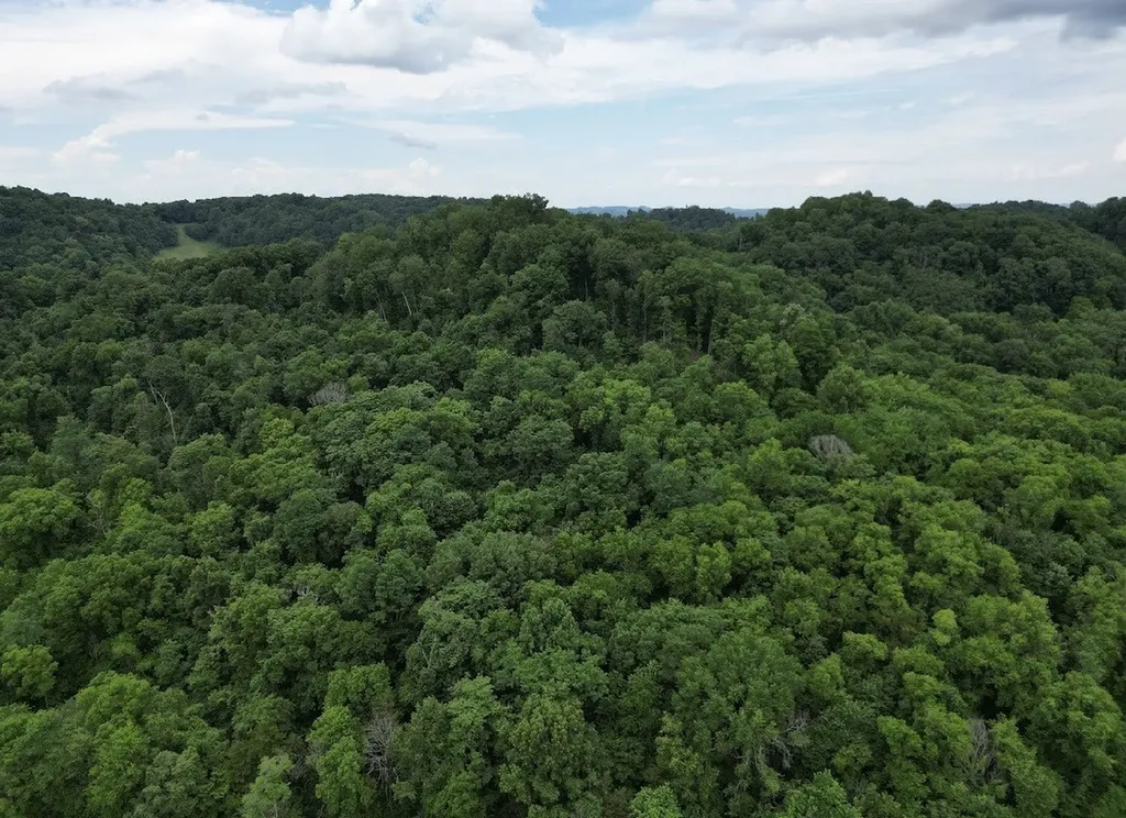 98 Hackett Valley Road Hickman TN 38567