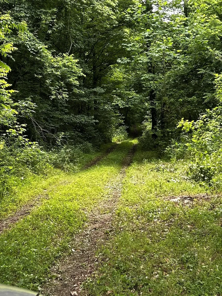 98 Hackett Valley Road Hickman TN 38567