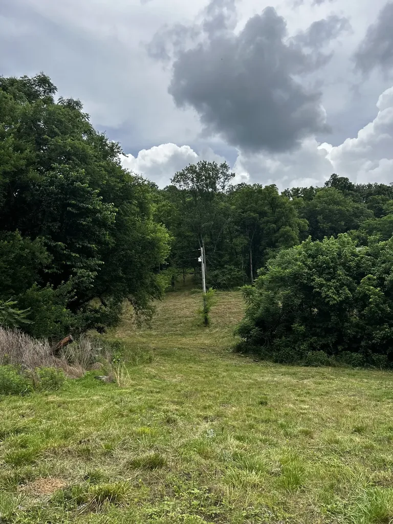 98 Hackett Valley Road Hickman TN 38567