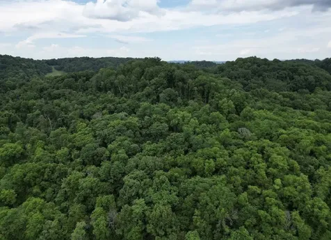 98 Hackett Valley Road Hickman TN 38567