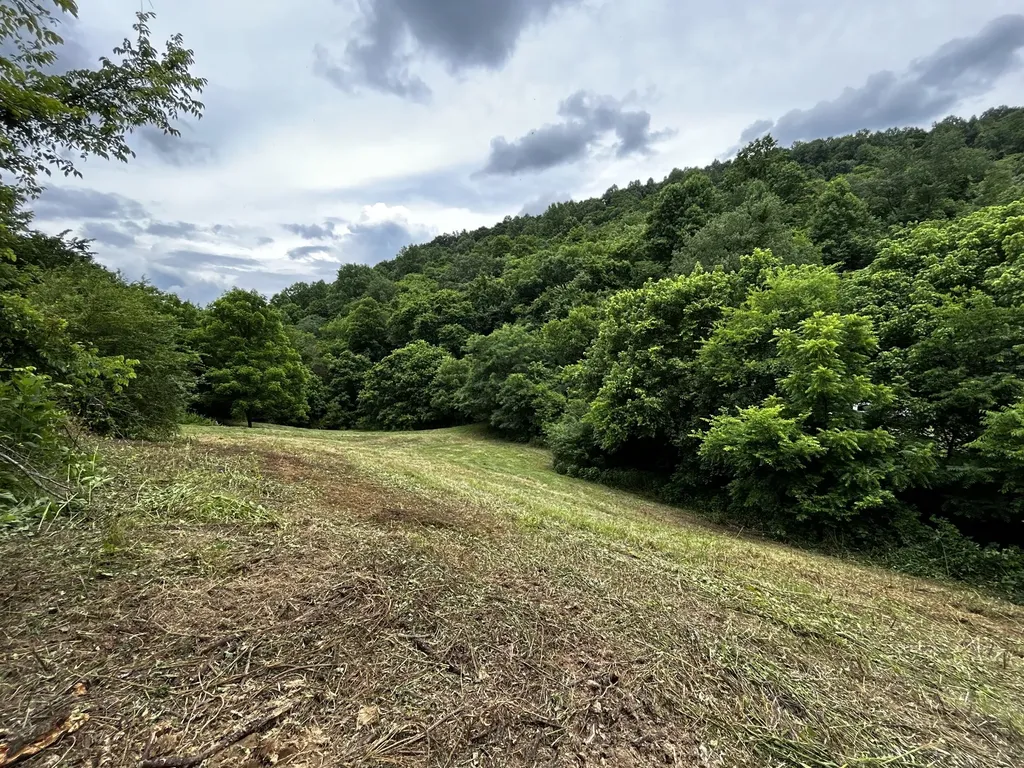 98 Hackett Valley Road Hickman TN 38567