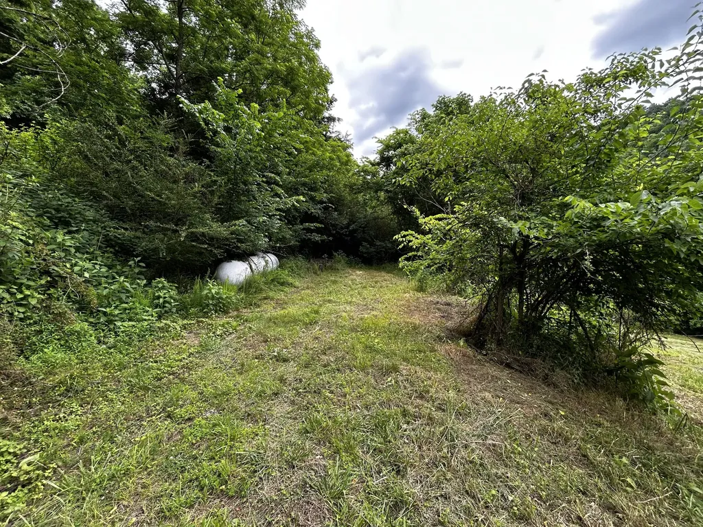 98 Hackett Valley Road Hickman TN 38567