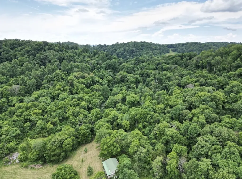98 Hackett Valley Road Hickman TN 38567